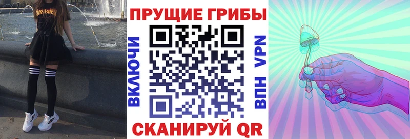 Галлюциногенные грибы Psilocybine cubensis  Сасово 